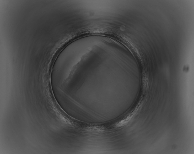 X0000089960721200707131536