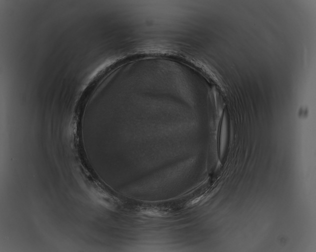 X0000089960723200707131536