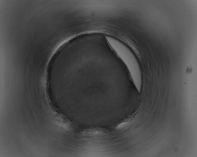 X0000089960724200707131537