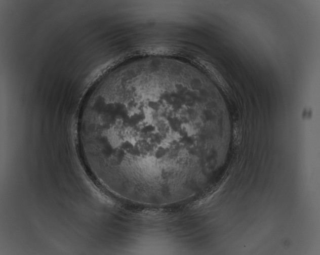 X0000089960725200707131537