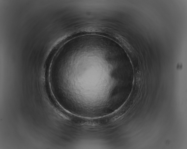 X0000089960727200707131537