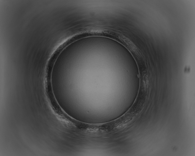 X0000089960728200707131537