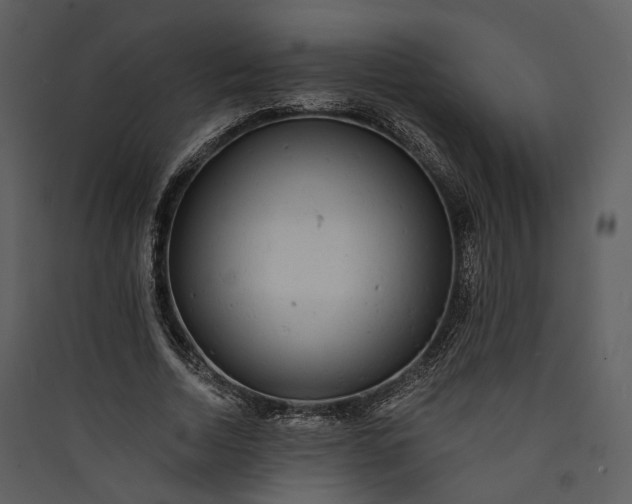 X0000089960730200707131537