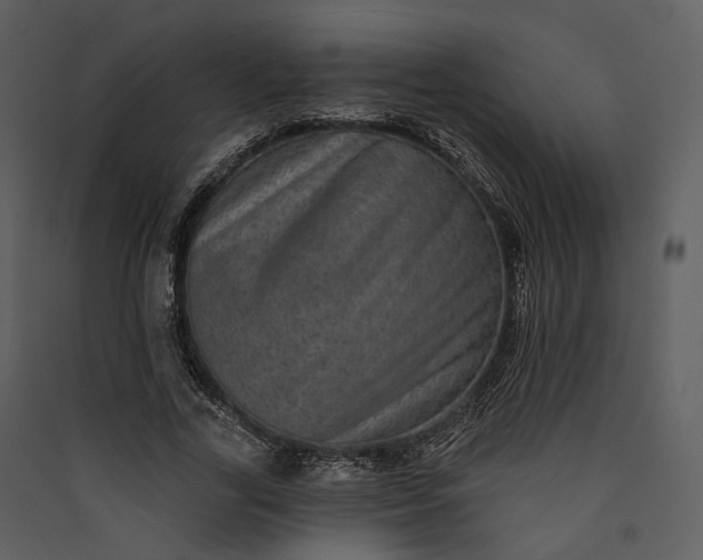 X0000089960731200707131537