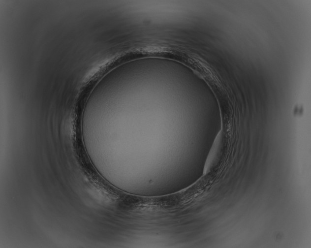 X0000089960732200707131537