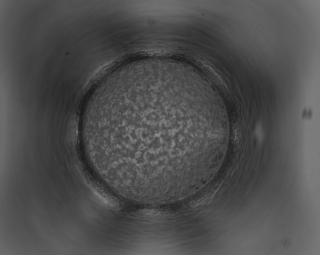 X0000089960733200707131537