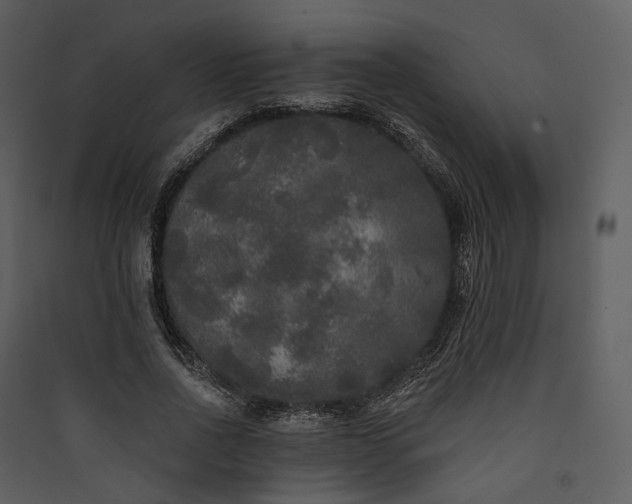 X0000089960734200707131537