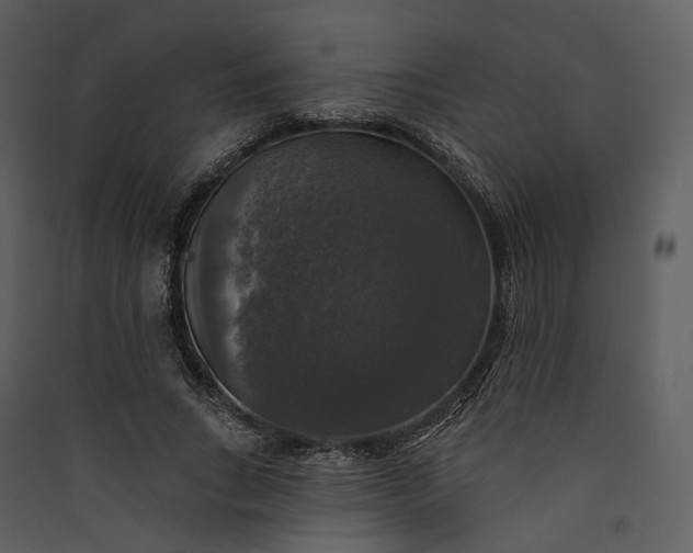 X0000089960735200707131537