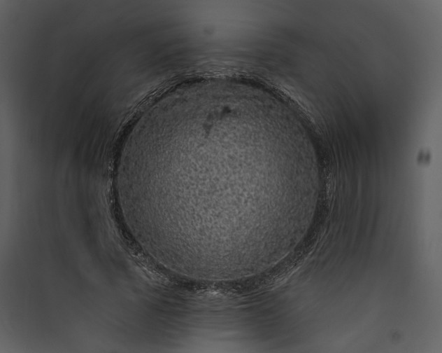X0000089960737200707131537