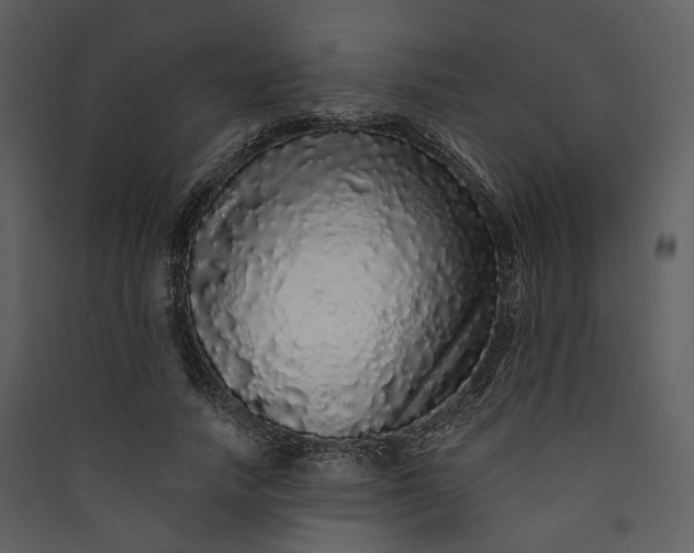 X0000089960738200707131537