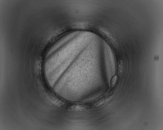 X0000089960739200707131537