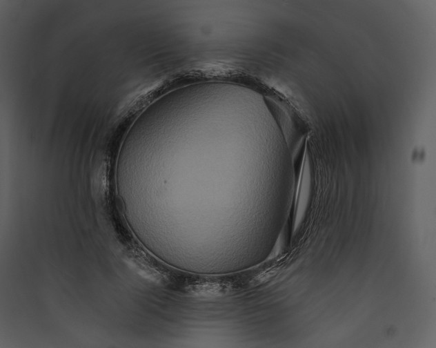 X0000089960740200707131537