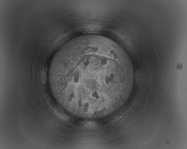 X0000089960741200707131537