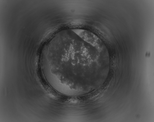 X0000089960742200707131537