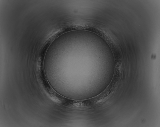 X0000089960744200707131537