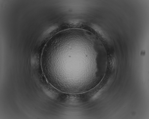X0000089960745200707131537