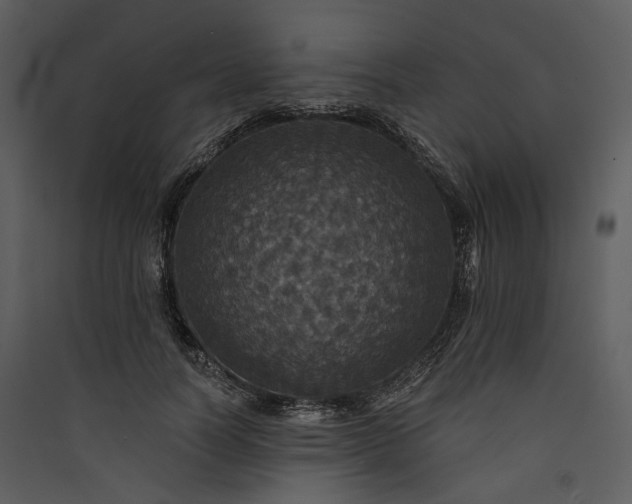 X0000089960746200707131537