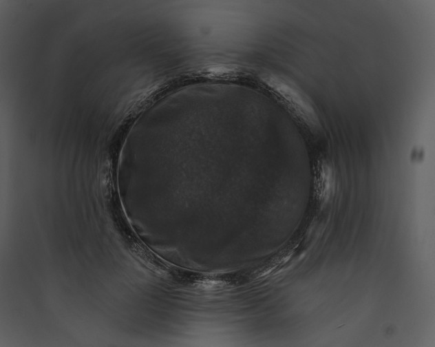 X0000089960748200707131537