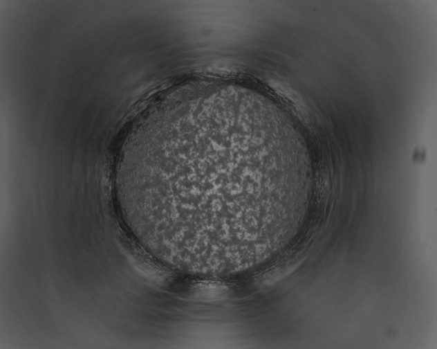 X0000089960749200707131537