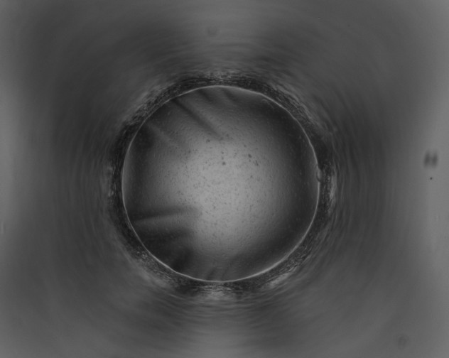 X0000089960750200707131537