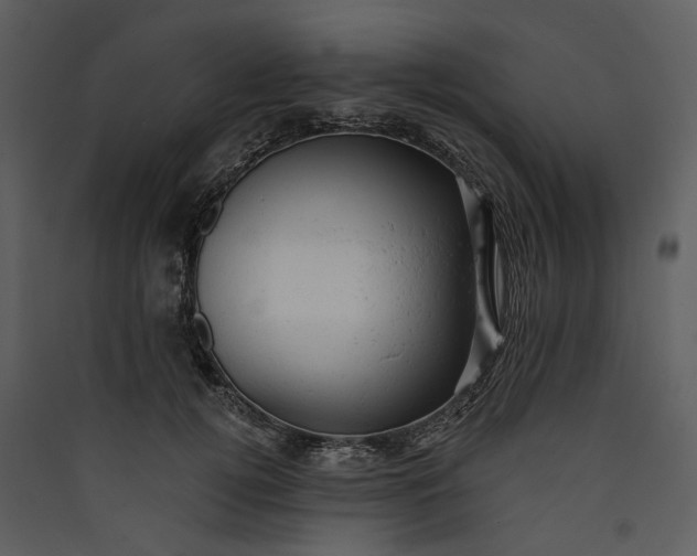X0000089960752200707131537