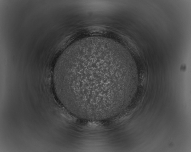 X0000089960753200707131537