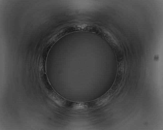 X0000089960754200707131537