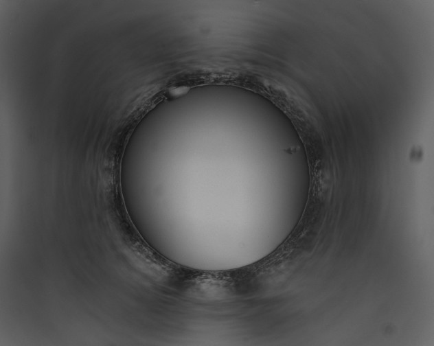 X0000089960756200707131537