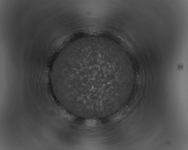 X0000089960757200707131537
