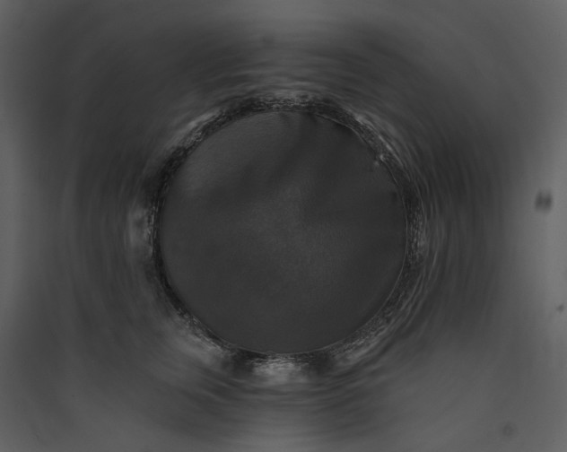 X0000089960759200707131537