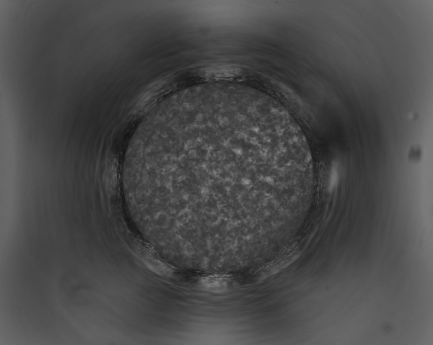 X0000089960761200707131537