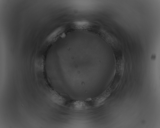 X0000089960762200707131537