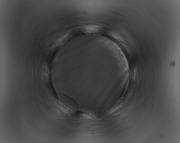 X0000089960763200707131537