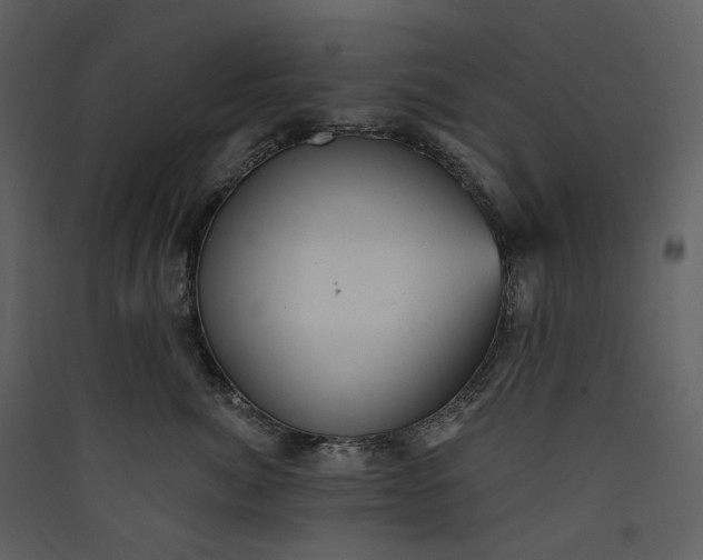 X0000089960764200707131537