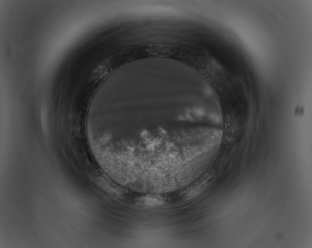 X0000089960765200707131537