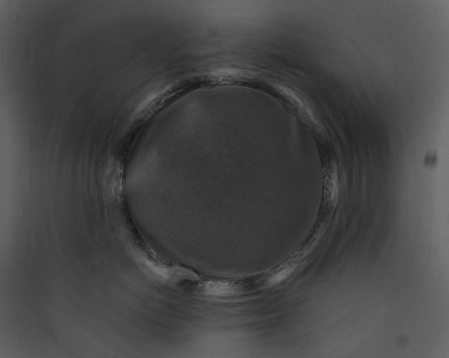 X0000089960766200707131537