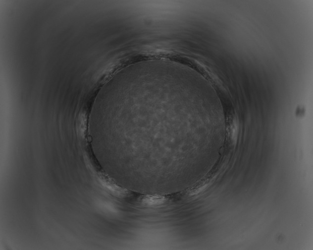 X0000089960767200707131537