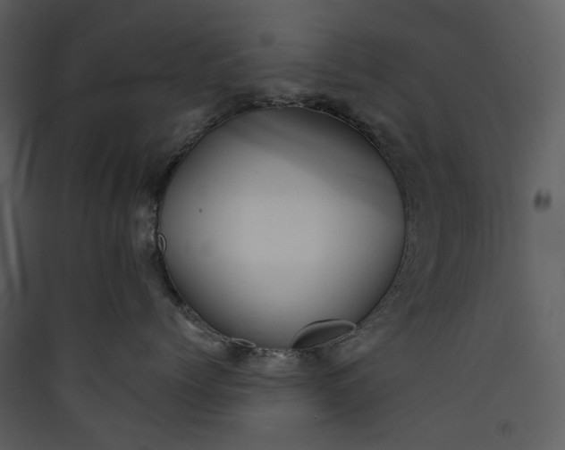 X0000089960768200707131537