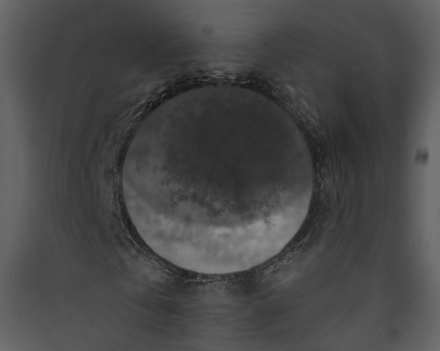 X0000089960769200707131536