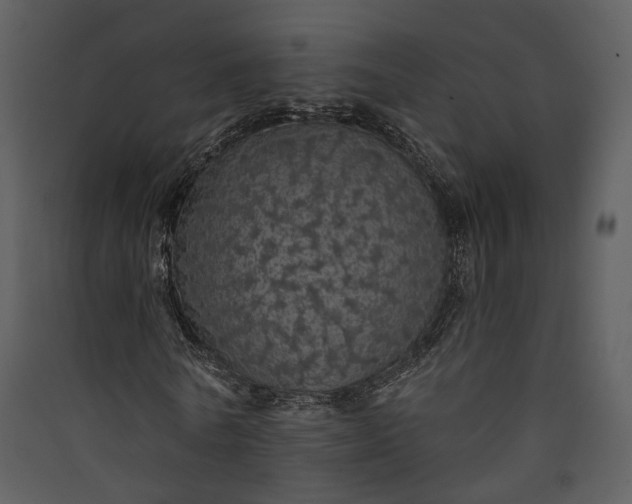 X0000089960770200707131536