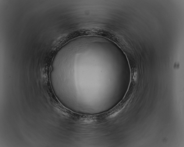 X0000089960771200707131536