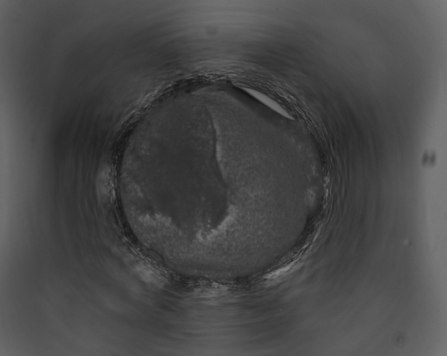 X0000089960772200707131536