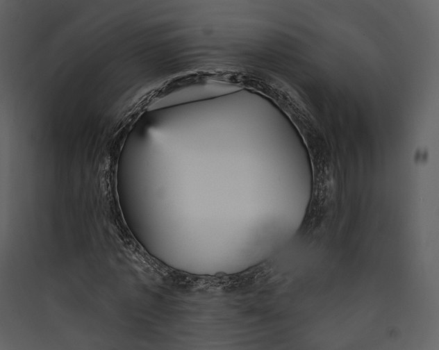 X0000089960773200707131536