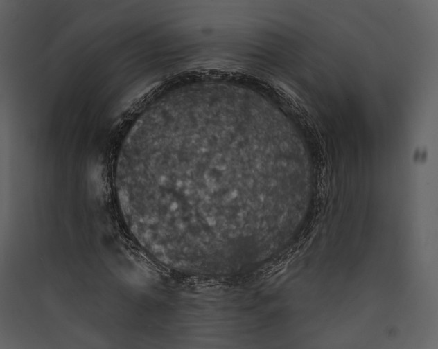 X0000089960774200707131536