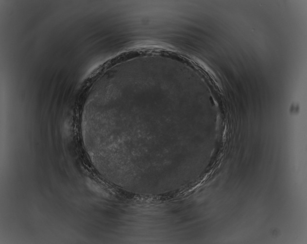 X0000089960775200707131536