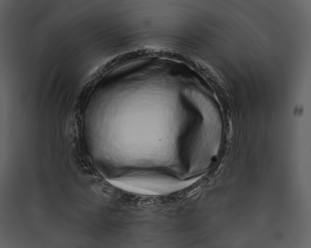 X0000089960776200707131536