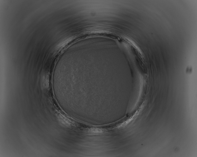 X0000089960777200707131536