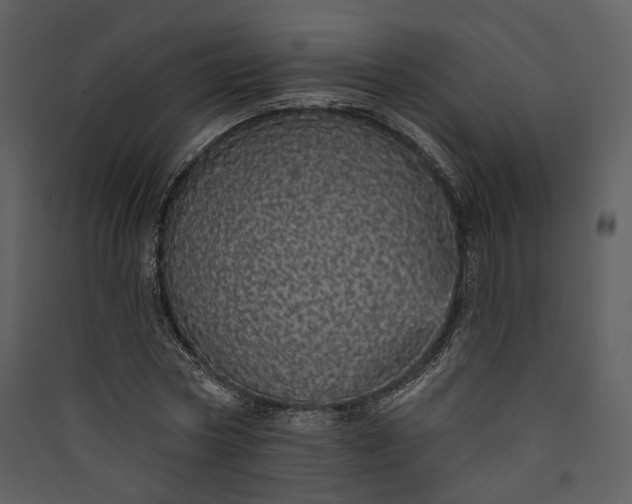X0000089960778200707131536