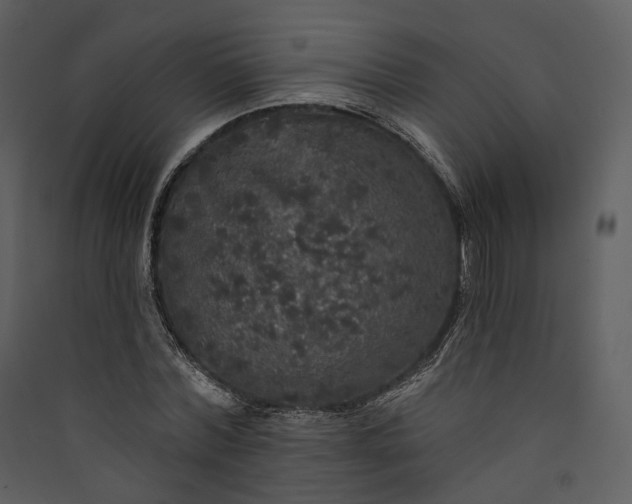 X0000089960780200707131536