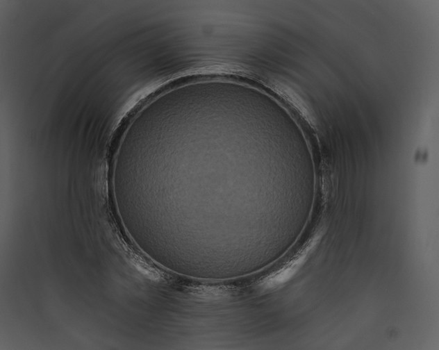 X0000089960781200707131536